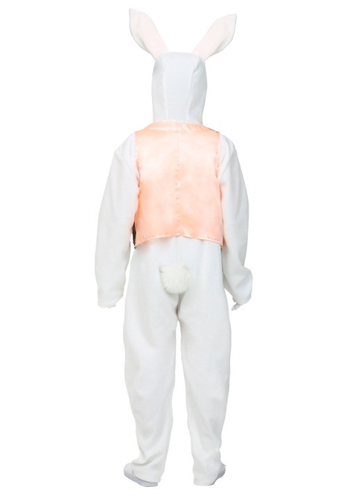 Child Classic Easter Bunny Costume Easter Costumes