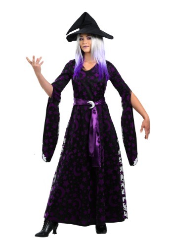 Click Here to buy Purple Moon Witch Womens Costume from HalloweenCostumes, CDN Funds & Shipping