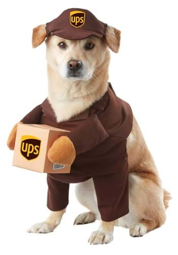 Click Here to buy UPS Dog Costume from HalloweenCostumes, CDN Funds & Shipping