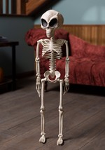 Alien Skeleton Alt 1