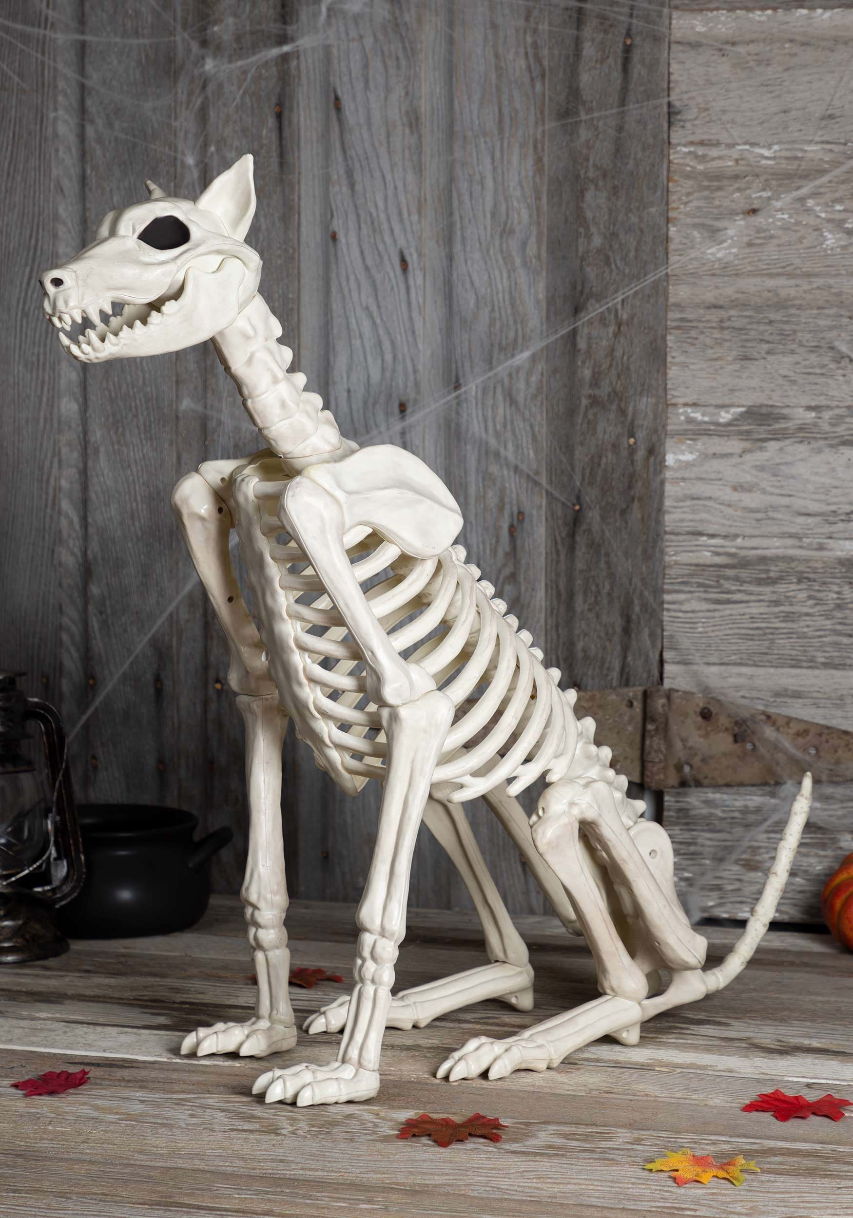 https://images.halloweencostumes.ca/products/39216/1-1/spike-the-skeleton-dog.jpg