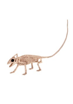 Skeleton Lizard