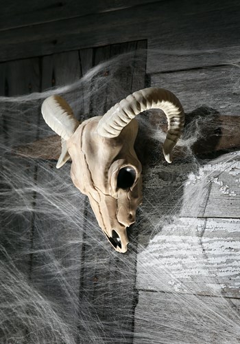 Ram Skull