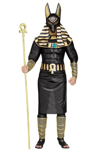Click Here to buy Adult Anubis Costume from HalloweenCostumes, CDN Funds & Shipping