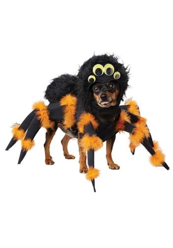 Click Here to buy Spider Pup Costume from HalloweenCostumes, CDN Funds & Shipping