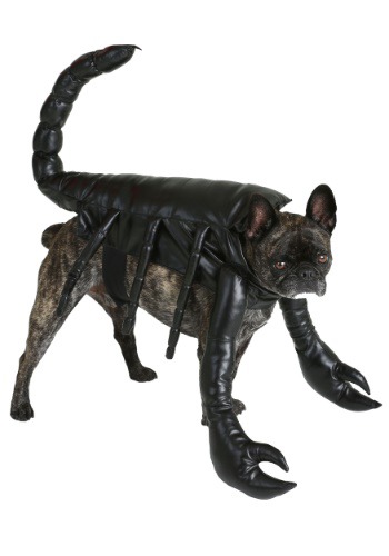 Click Here to buy Scorpion Dog Costume from HalloweenCostumes, CDN Funds & Shipping