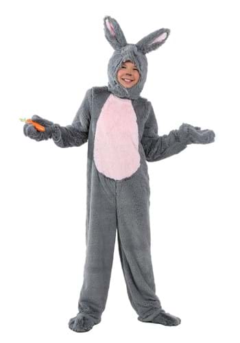 Click Here to buy Grey Bunny Kids Costume from HalloweenCostumes, CDN Funds & Shipping