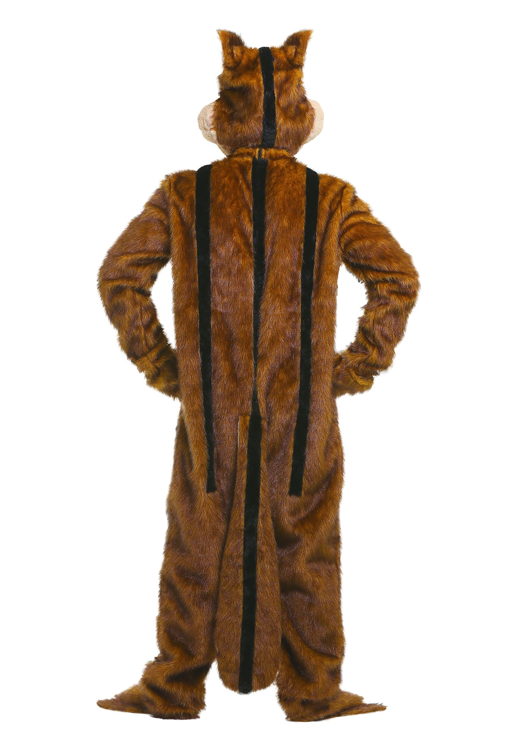 Adult Pajama Costume, Costumes Chipmunks, Kigurumi Squirrel