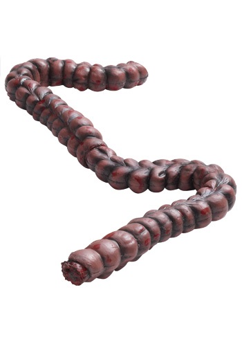 Click Here to buy Bloody Zombie Intestines from HalloweenCostumes, CDN Funds & Shipping