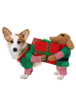 Santa's Little Helper Dog Costume