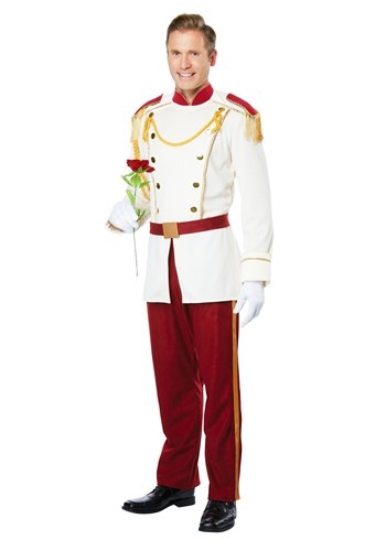 Royal Storybook Prince Mens Costume