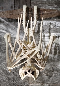 36'' Nocturnal Bat Skeleton