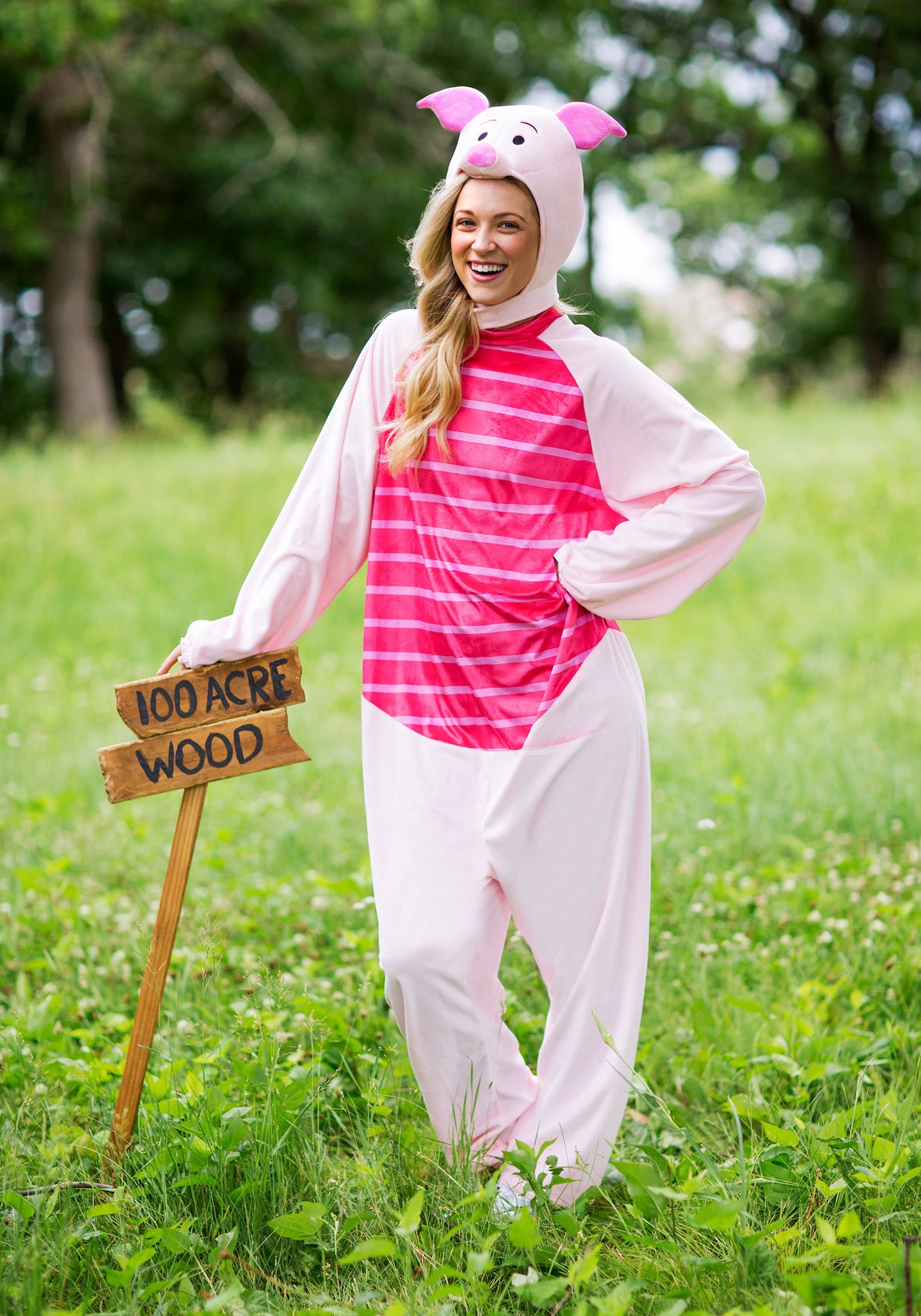 https://images.halloweencostumes.ca/products/43231/1-1/winnie-the-pooh-piglet-deluxe-adult-costume.jpg