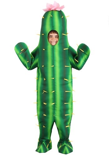 Click Here to buy Cactus Kids Costume from HalloweenCostumes, CDN Funds & Shipping