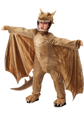 Click Here to buy Fantasy Dragon Kids Costume from HalloweenCostumes, CDN Funds & Shipping