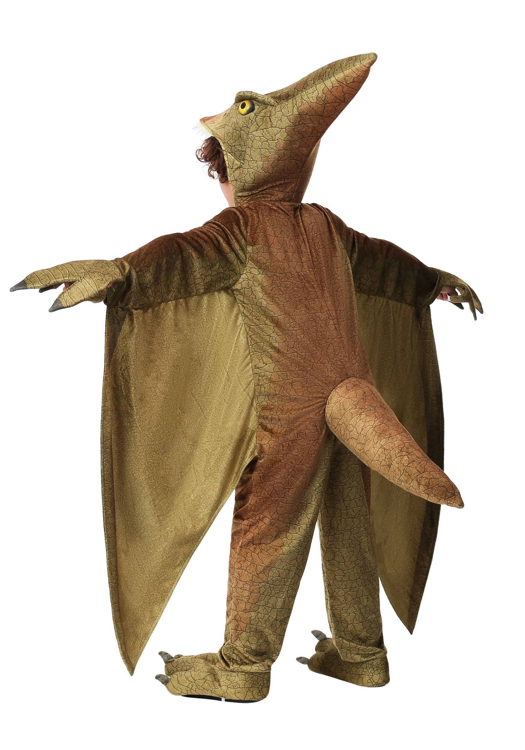 Pterodactyl Costume For A Child