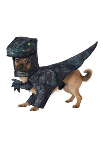 Click Here to buy Pupasaurus Rex Pet Dog Costume from HalloweenCostumes, CDN Funds & Shipping