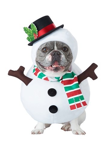 Click Here to buy Snowman Costume for a Dog from HalloweenCostumes, CDN Funds & Shipping