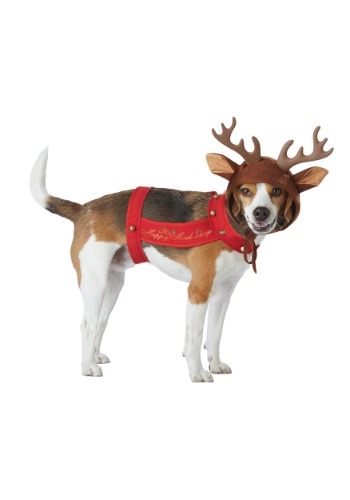 Click Here to buy Reindeer Costume for a Dog from HalloweenCostumes, CDN Funds & Shipping