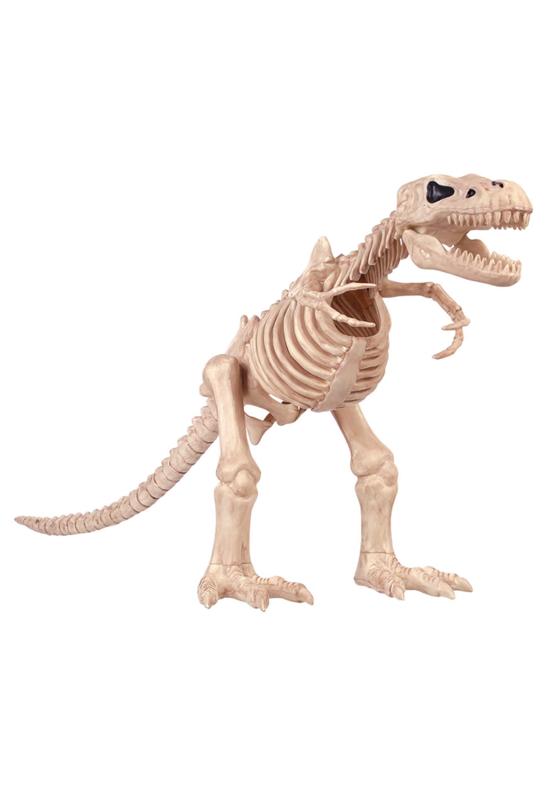 T-Rex Skeleton 16 Inch Decoration , Dinosaur Skeleton Prop