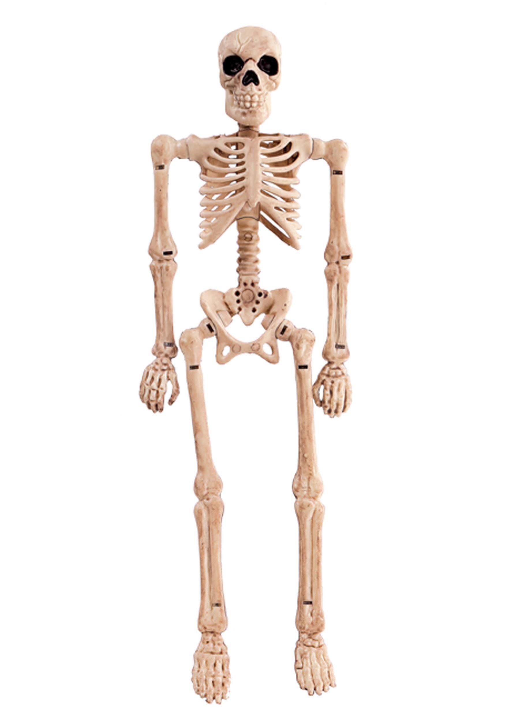 8 Bendable Skeleton