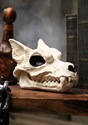 7" Wolf Skull Halloween Decoration