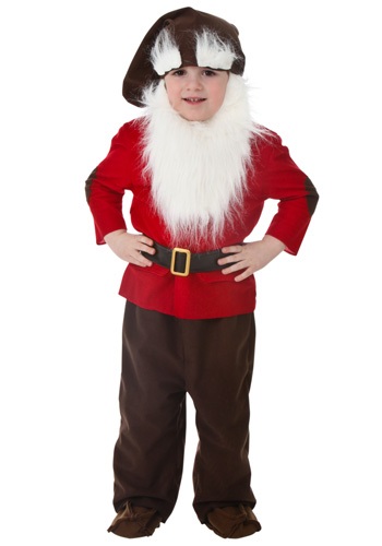 Toddler Dwarf Costume