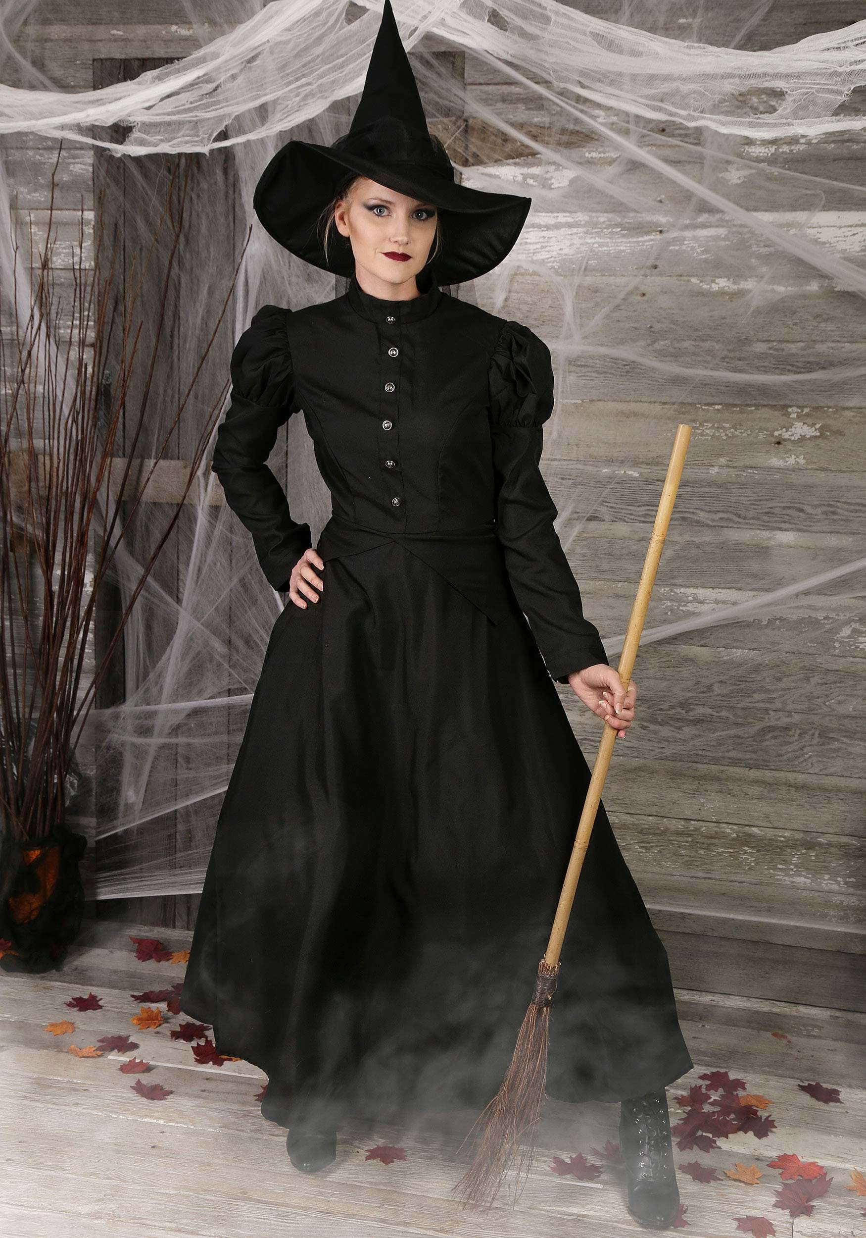 Women's Deluxe Witch Costume, Wicked Witch Costume