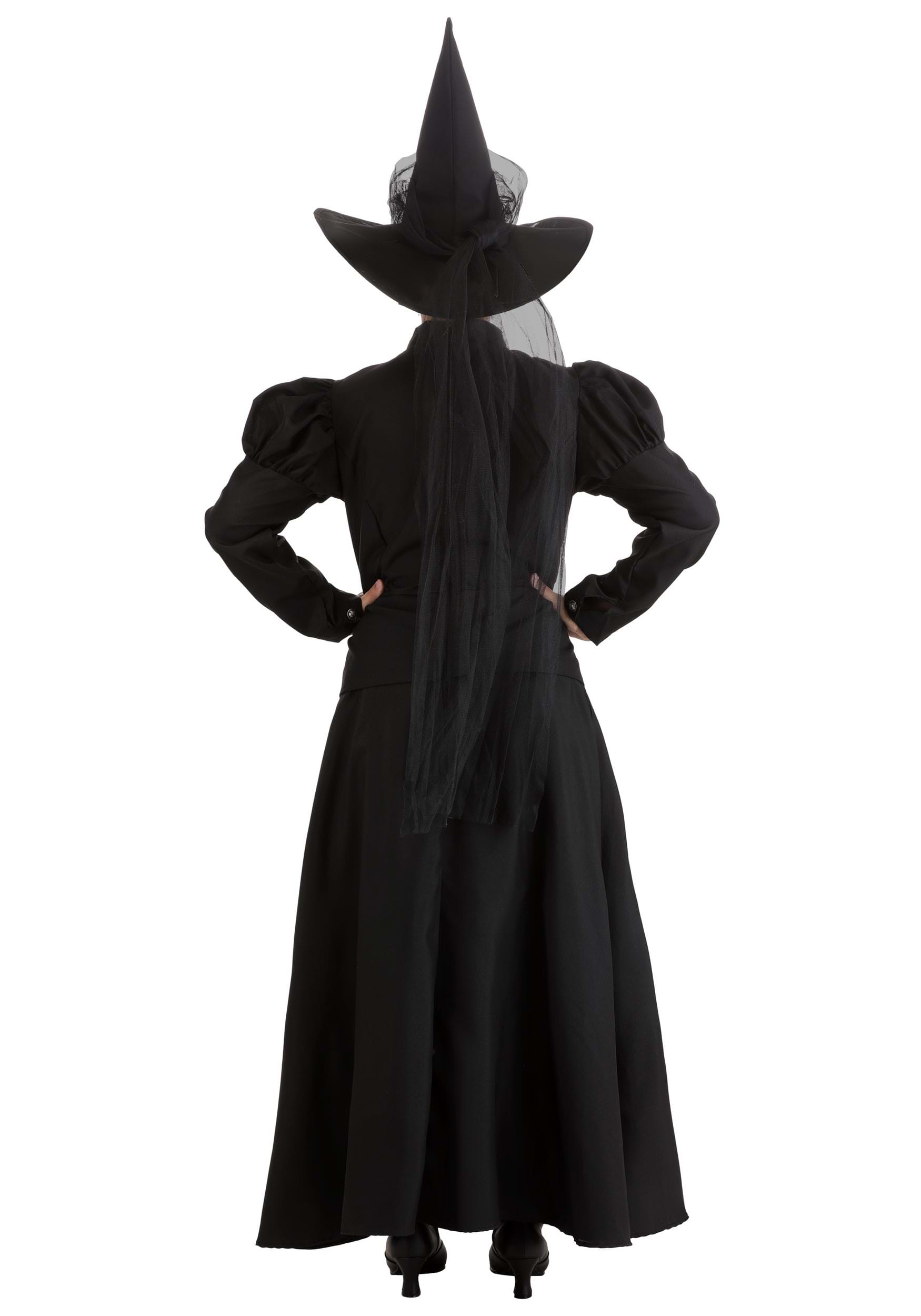 https://images.halloweencostumes.ca/products/5143/2-1-182591/womens-witch-deluxe-costume-alt-2.JPG