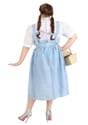 Women's Long Dorothy Dress Alt 2