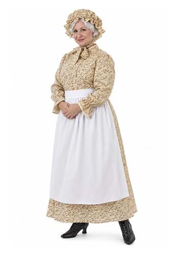 Womens Plus Size Auntie Em Costume Dress UPD 1