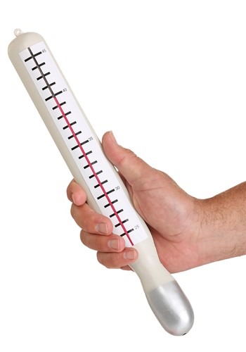 Jumbo Thermometer Accessory