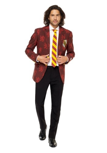 Click Here to buy Opposuits Harry Potter Mens Suit Costume from HalloweenCostumes, CDN Funds & Shipping