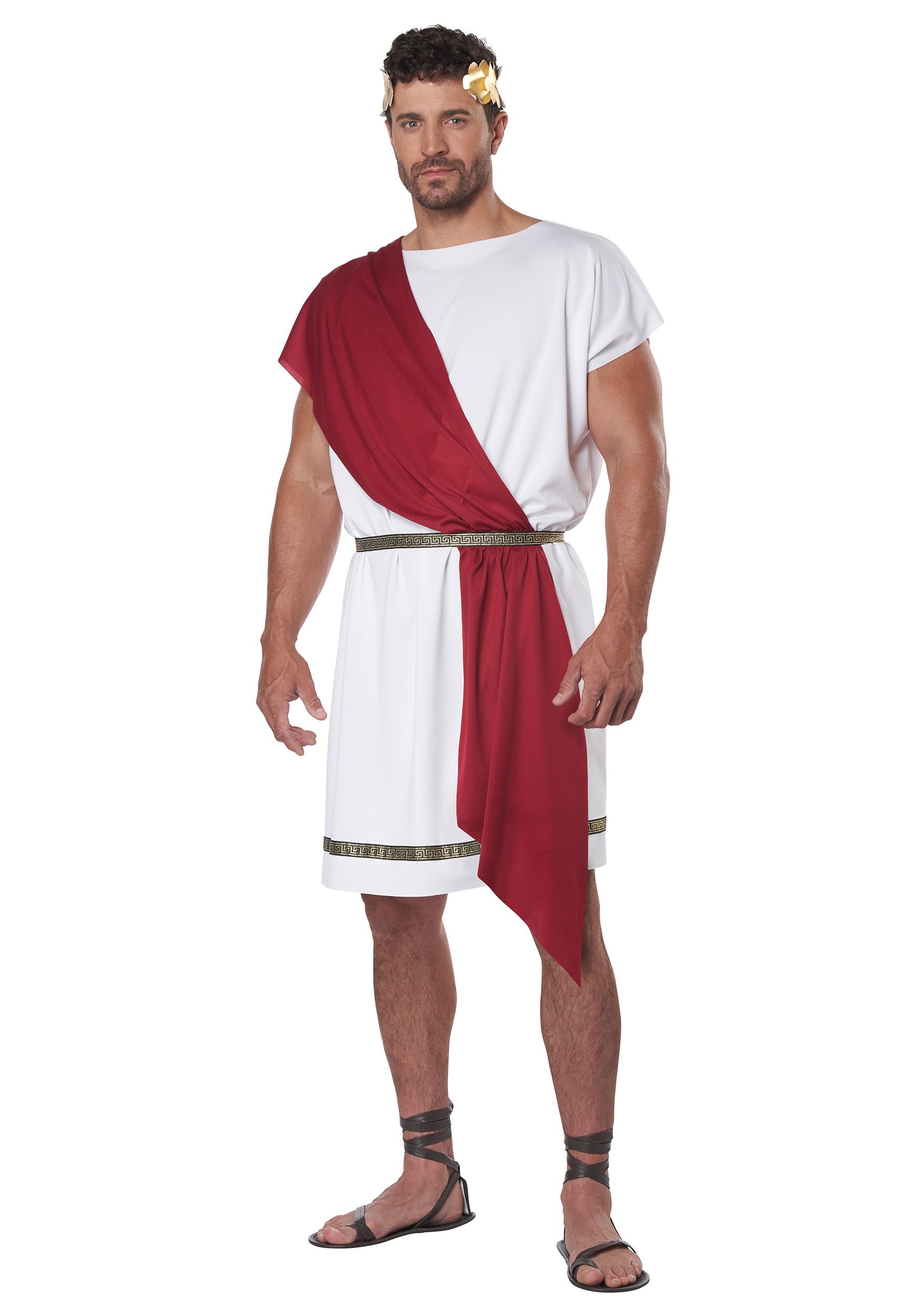 Party Toga Costume For Adults
