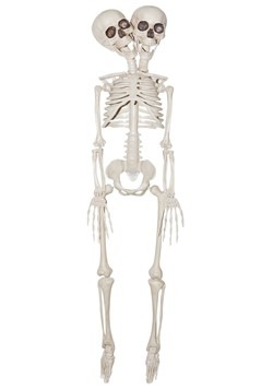 20" 2 Headed Skeleton Prop