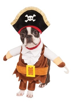 Pirate Pet Costume