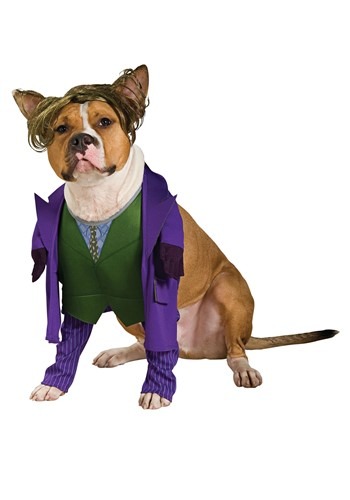Click Here to buy Joker Pet Costume from HalloweenCostumes, CDN Funds & Shipping