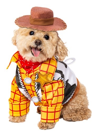 Click Here to buy Toy Story Woody Pet Costume from HalloweenCostumes, CDN Funds & Shipping