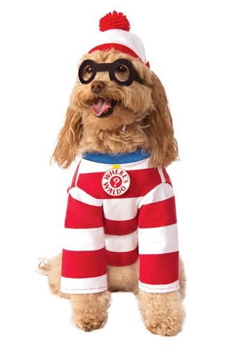 Click Here to buy Wheres Waldo Dog Costume from HalloweenCostumes, CDN Funds & Shipping