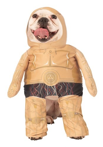 Click Here to buy C3PO Star Wars Pet Costume from HalloweenCostumes, CDN Funds & Shipping