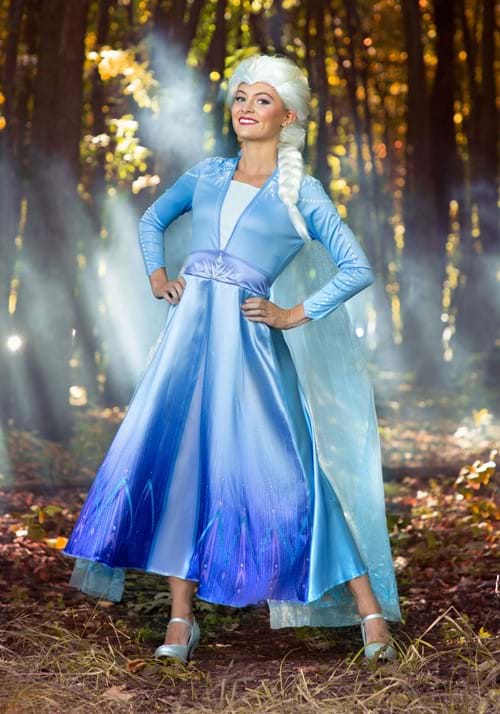 Frozen 2 Womens Elsa Deluxe Costume