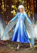 Frozen 2 Womens Elsa Deluxe Costume Alt 3