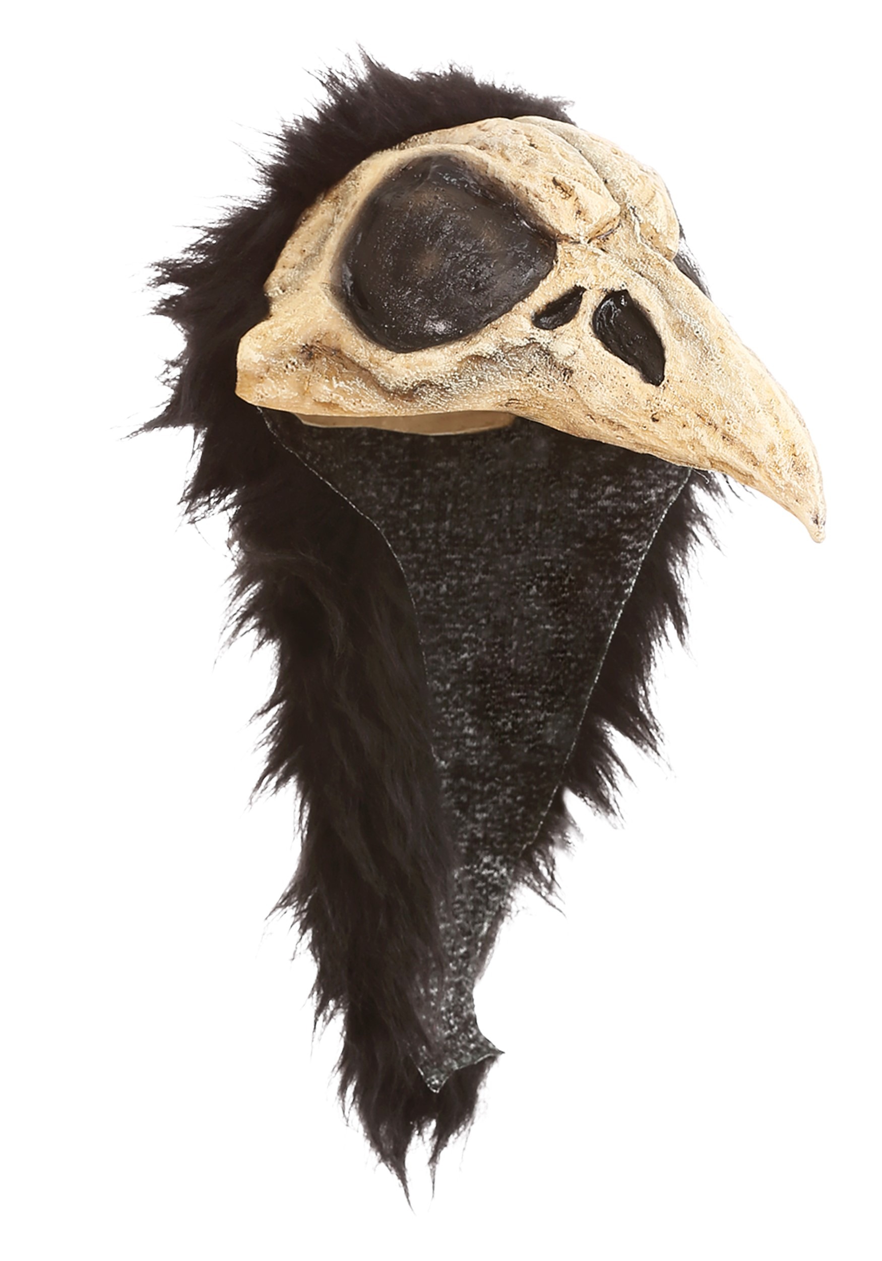 Bird Helmet Crow