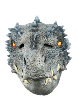 Winter Dragon Mask