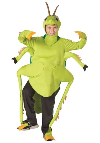 Kids Green Grasshopper Costume
