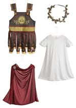 Plus Size Roman Warrior Costume for Men