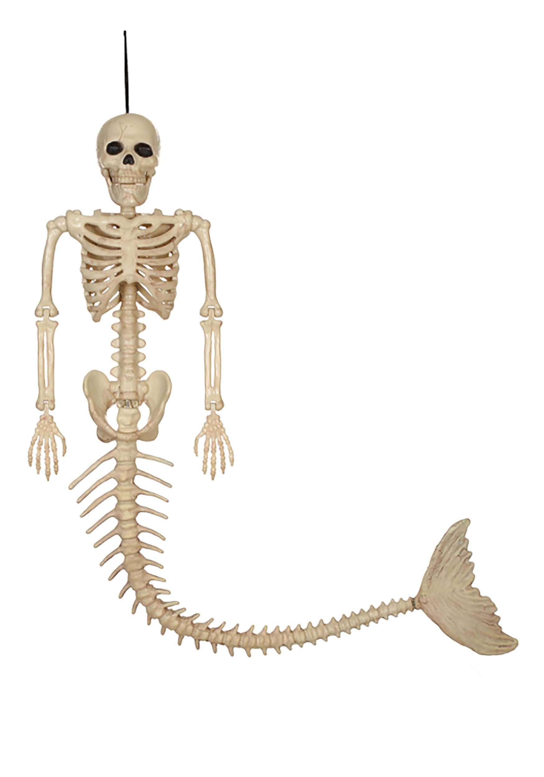21 Inch Skeleton Mermaid Halloween Prop , Halloween Skeletons