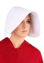 Handmaid's Tale Women's Costume Alt 10