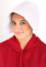 Plus Size Handmaid's Tale Womens Costume Alt 1