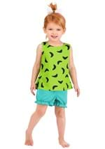 Toddler's Classic Flintstones Pebbles Costume Alt 2